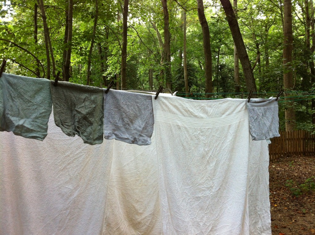 Green Laundry © 2012 NATE METZ digital photograph green cleaning air dry laundry line dry towels