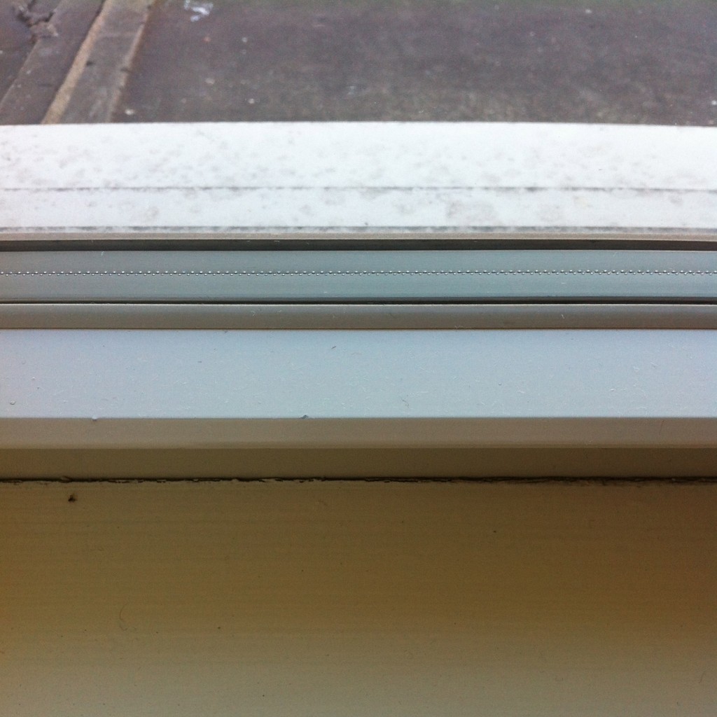 White-blocked Sils1 2012