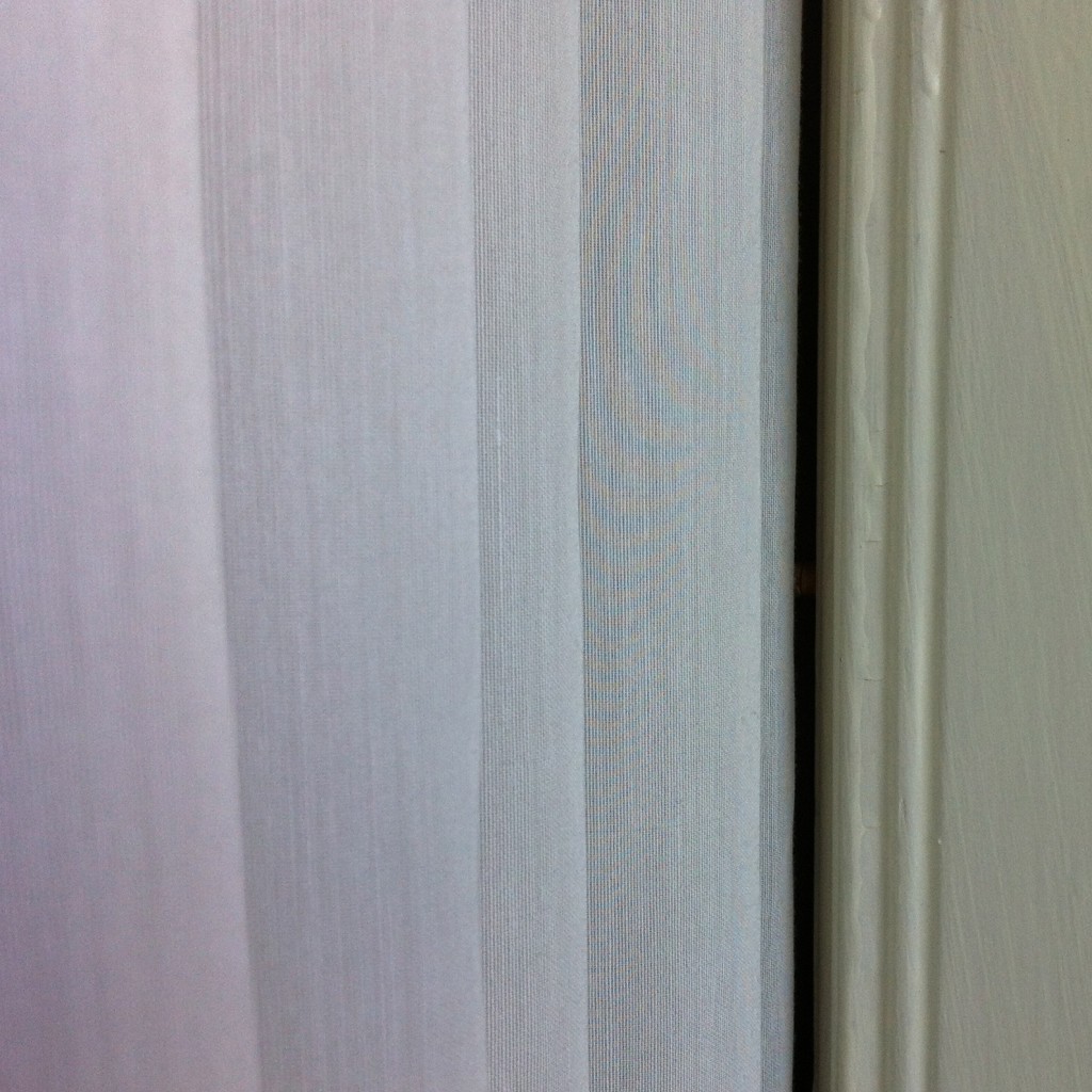 White-blocked Sils2 2012